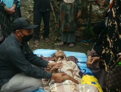 Tinggal Sebatang kara Kakek Sobirin Di boyong ke Panti Sosial