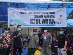 Keluarga Besar PT. ANTAM Salurkan Puluhan Ekor Sapi dan Kambing untuk Warga Kolaka