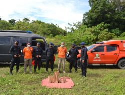 11 bom lontong milik DPO teroris Poso di musnahkan oleh Satgas Madago raya