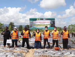 HIPTI dan Brimobda Polda Sultra Tanam Porang di Areal Seluas 1 Hektar