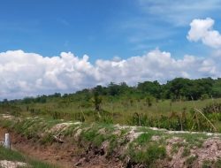 Kades Matandahi Dilaporkan ke Polisi atas Penyerobotan Lahan