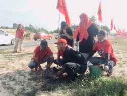 Peringati HUT Ke-49, DPD PDIP Sultra Tanam 2.000 Pohon