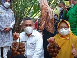 Walikota Kendari Serahkan Sarana dan Prasana Pertanian Serta Sertifikat petani