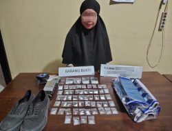 Diduga Jadi Kurir Sabu, Seorang Ibu di Kendari Diringkus Polisi