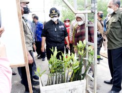 Kementrian Lingkungan Hidup Dan Kehutanan RI Tinjau Lokasi Penanaman Pohon Mangrove