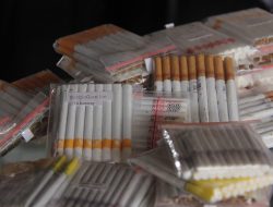 Kantor Bea Cukai Kendari Amankan Rokok Ilegal 14.660 Batang