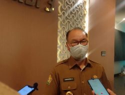 Pemda Konsel Buka Kemitraan Untuk Peternakan Sapi Potong Dan BiBit Sapi