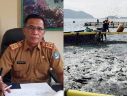 Dinas Kelautan dan Perikanan Kota Kendari Beri Bantuan Bibit Ikan Kepada Nelayan