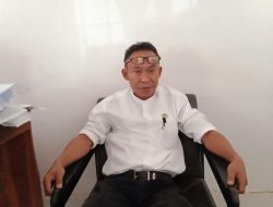 DLHK Kota Kendari Intens Lakukan Pemangkasan Pohon yang Rawan Membahayakan Warga