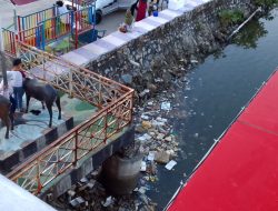 Upaya DLHK dalam menangani Sampah terkendala di Teluk Kendari