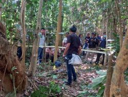 Geger, Penemuan Kerangka Manusia Dalam Hutan Puuwatu Kendari, Ini Dugaan Penyebab Kematian
