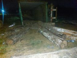 Kecelakaan Kerja, 5 Orang Pria di Kendari Tertimpa Kayu Jabon 1 Orang Meninggal Dunia