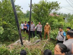 5 Orang Pekerja Proyek Telkom Tersengat Listrik di Konawe, 2 Tewas