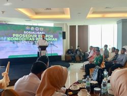 Dorong Pelaku Usaha Go Internasional, Kadin Sultra Sosialisasi Prosedur Ekspor Komoditas Pertanian