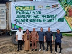 Kadin Sultra Kirim 24 Ton Jagung Pipil Senilai Rp144 Juta ke Jawa Timur