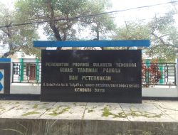 Distanak Sultra Bersama PT Sars, Gagas Pembangunan Industri Pakan Ternak di Sultra