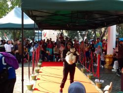 Distanak Sultra Gelar Cat Show, Diikuti Ratusan Cat Lovers se-Sultra