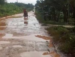 Jalan Provinsi Penghubung Kabupaten Konsel dan Koltim Tak Kunjung Diperbaiki, Sekda Sultra : Masyarakat diharapkan sabar