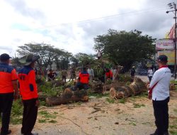 Pemkot Kendari Kebut Pembersihan Kali Kadia, Hingga Libatkan Sejumlah Dinas