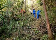 1 Orang Hilang di Hutan Pulau Padamarang