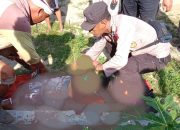 Perkara Batas Tanah, Pria di Konawe Tewas di Tangan Saudara Kandung