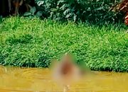 Seorang Pria Diterkam Buaya saat Menjala Ikan di Kolaka Timur