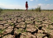 Pemkot Kendari Tetapkan Siaga Darurat Kekeringan Akibat Fenomena El-nino, Ada Tujuh Kelurahan yang Krisis Air Bersih