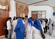 Gaji Tak Dibayar Selama 7 Bulan, Pulahan Nakes Lingkup Pemprov Sultra Tuntut Hak