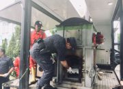 BNNP Sultra Musnahkan 1.730 Kg Sabu Dari 2 Kasus, 3 Tersangka Ditangkap