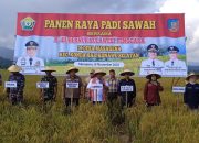 Pj Gubernur Sultra Ikut Panen Raya Padi Sawah di Desa Masagena, Konsel
