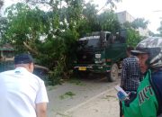Truk Kontainer Tertimpa Pohon Tumbang di Puuwatu Kendari