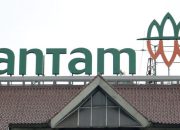 Terkait Soal Penertiban Izin Lintas Koridor PT Indonusa, PT Antam Sodorkan Surat ke Pemprov