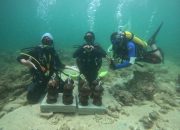 Program Bioreeftek Mahasiswa KKN UGM, Lestarikan Terumbu Karang di Desa Wisata Namu