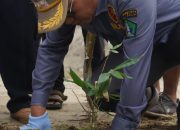 Penanaman 500 Pohon Bambu, PJ Bupati Kolut: Gerak Cepat Pasca Bencana