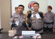 Pengedar Narkoba di Kendari Diringkus di Kamar Kost, Polisi Sita 60,51 Gram Sabu