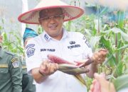 Pj. Wali Kota Kendari Ajak Masyarakat Manfaatkan Lahan Kosong Menjadi Produktif