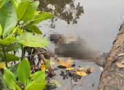 Sesosok Mayat Pria Ditemukan Mengapung di Sungai Desa Tani Indah Konawe