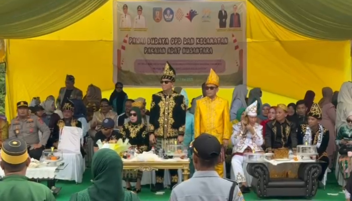 VIDEO : Ratusan Barisan Meriahkan Pawai Budaya HUT Konawe Selatan 2025