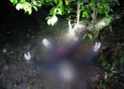 Seorang Petani Pala di Konkep Ditemukan Tewas Membusuk di Kebunnya Sendiri