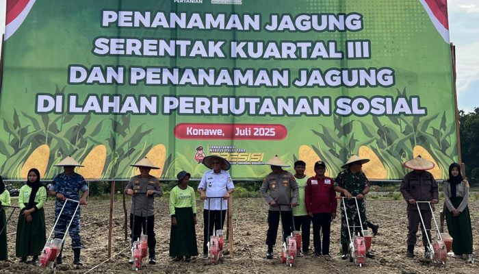 Dukung Ketahanan Pangan, Kapolda Sultra dan Forkopimda Gelar Penanaman Jagung Kuartal III di Konawe