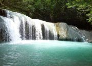 Desa Wisata Kaongkeongkea, Nikmati Alam dan Aroma Kopi