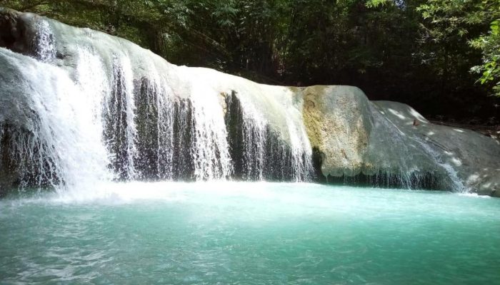 Desa Wisata Kaongkeongkea, Nikmati Alam dan Aroma Kopi