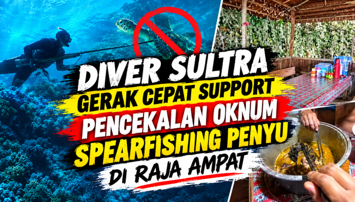 Diver Sultra Gerak Cepat Support Pencekalan Oknum Spearfisihing Penyu di Raja Ampat
