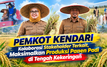 VIDEO : Kolaborasi PEMKOT KENDARI dan Stakeholder Terkait Maksimalkan Panen Padi di Tengah Kekeringan