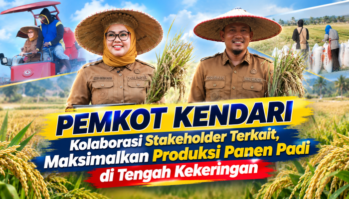 VIDEO : Kolaborasi PEMKOT KENDARI dan Stakeholder Terkait Maksimalkan Panen Padi di Tengah Kekeringan